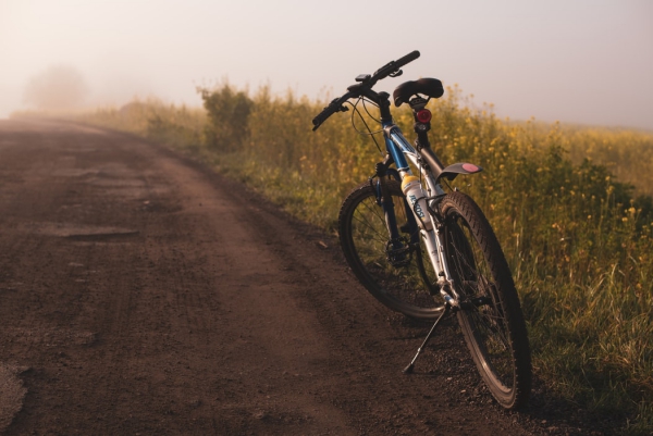 Trekking-Fahrrad – Vor- und Nachteile des populären Alleskönners fahrrad landweg feldweg