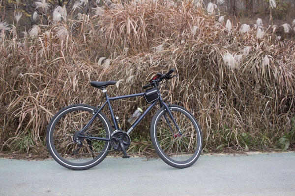 Trekking-Fahrrad – Vor- und Nachteile des populären Alleskönners fahrrad neben feld straße