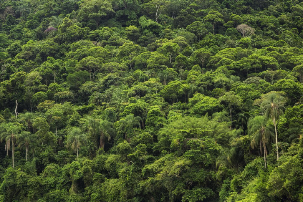 amazonen weltreisen umweltreisen
