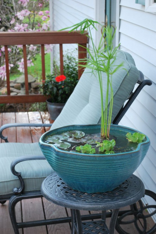 Miniteich anlegen auf der Terrasse im runden Gefäß schön bepflanzt