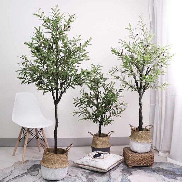 Olivenbaum Pflege im Topf oder Garten – Wissenswertes und Tipps für Hobbygärtner jutesack deko wohnzimmer baum