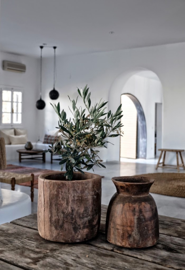 Olivenbaum Pflege im Topf oder Garten – Wissenswertes und Tipps für Hobbygärtner rustikale töpfe wohnzimmer minimalistisch
