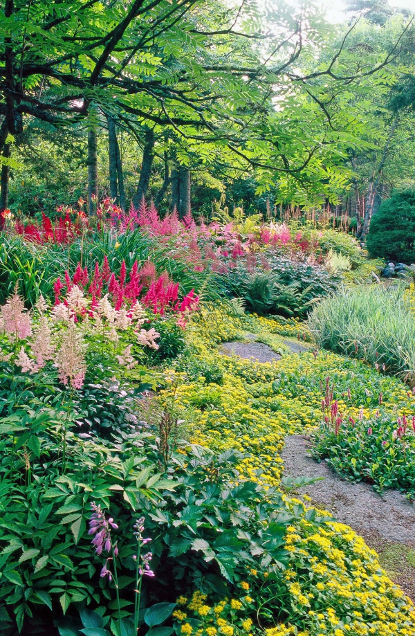 Pflegeleichte blühende und immergrüne Schattenpflanzen für den Garten schattengarten deko ideen mit blüten
