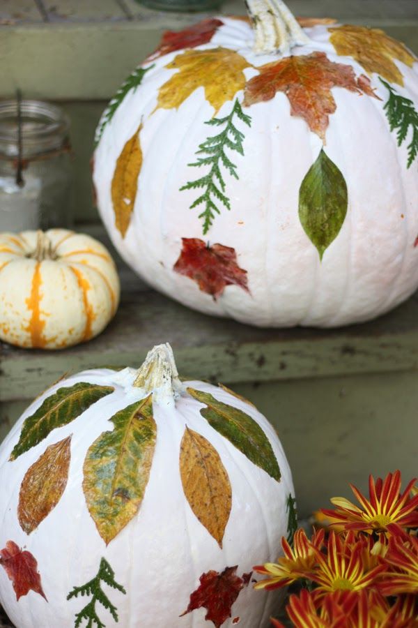 Herbstblätter basteln mit Kindern – Ideen und Anleitungen weiße kürbisse dekorieren