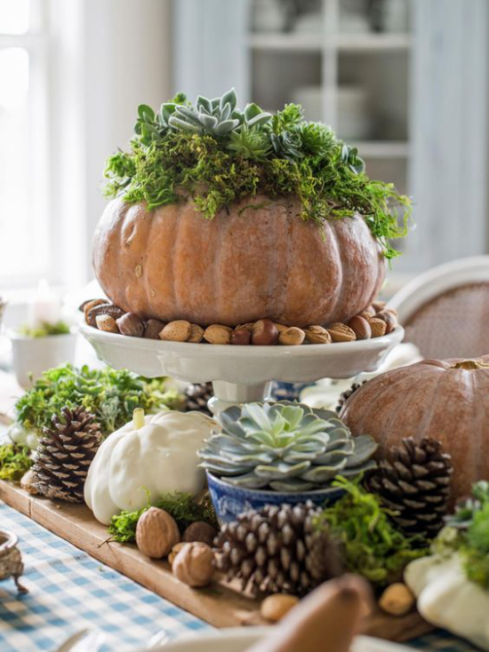Herbstliche Tischdeko mit Kürbissen verschiedene Größe und Farben Kürbisse als Vase für Sukkulenten und Zierkohl