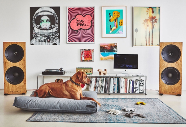 Kuscheliges Hundebett – Nur das Beste für den allerbesten Freund des Menschen kissen grau stilvoll labrador
