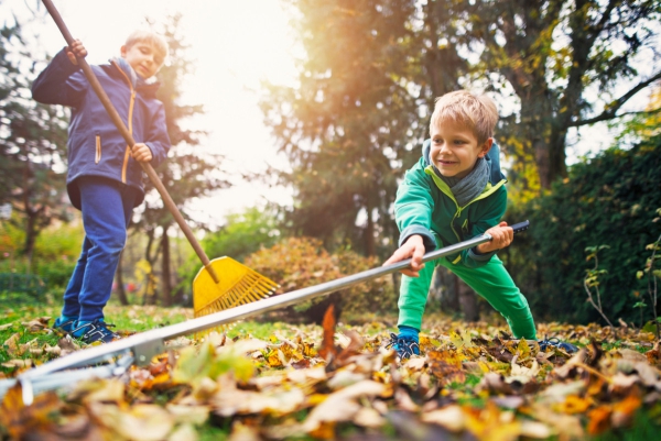 Rasenpflege im Herbst – wichtige Hinweise und Tipps herbst arbeiten garten mit der ganzen familie