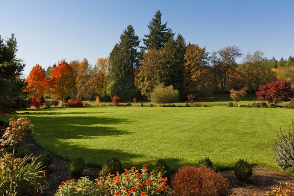 Rasenpflege im Herbst – wichtige Hinweise und Tipps hübscher rasen im herbst park