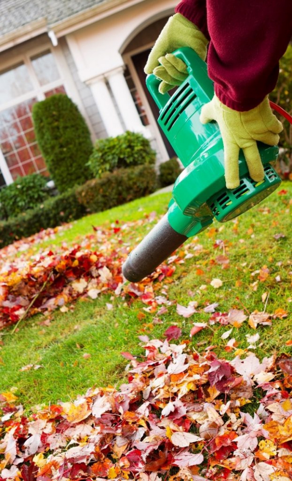 Rasenpflege im Herbst – wichtige Hinweise und Tipps laub vom garten blasen