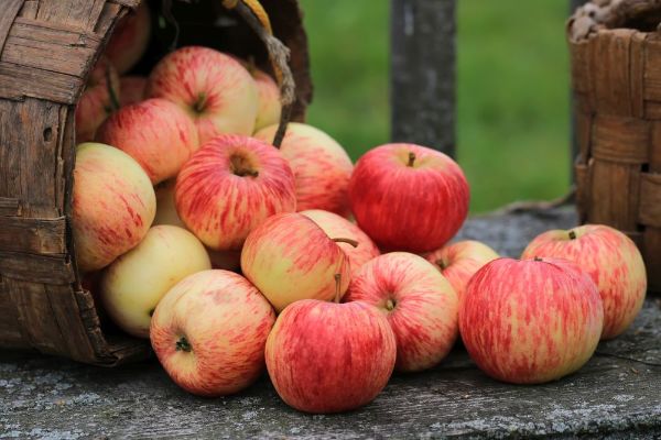 Apfel - gesunde Rezeptideen - Tipps - Gesundes Leben