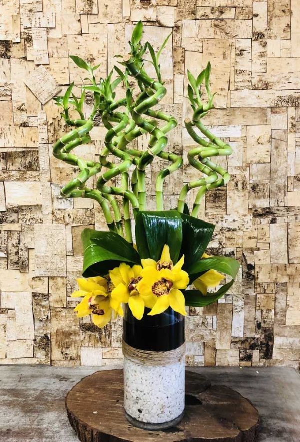 Glücksbambus Gelbe Pflanzen ideen Vase