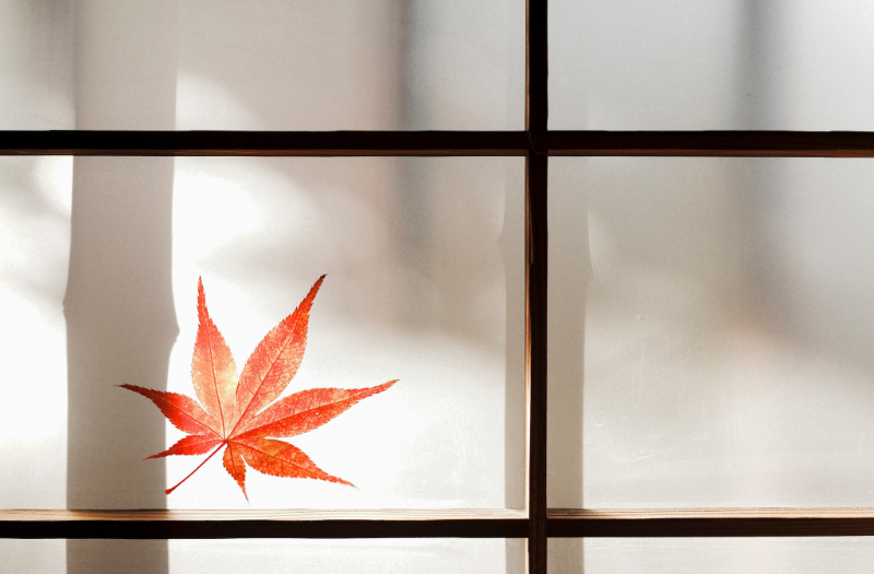 Herbst Fensterbilder Minimalistische Fensterdeko