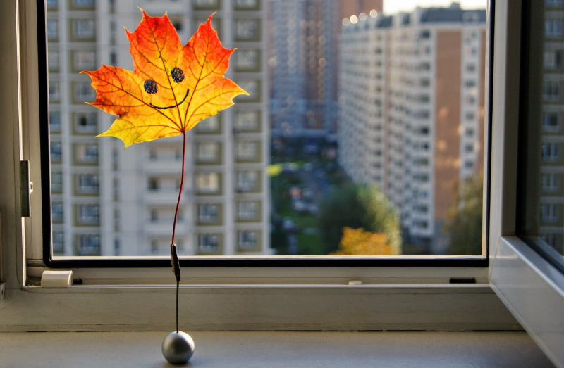 Herbst Fensterbilder - ein tolles Blatt Fenstergestaltung