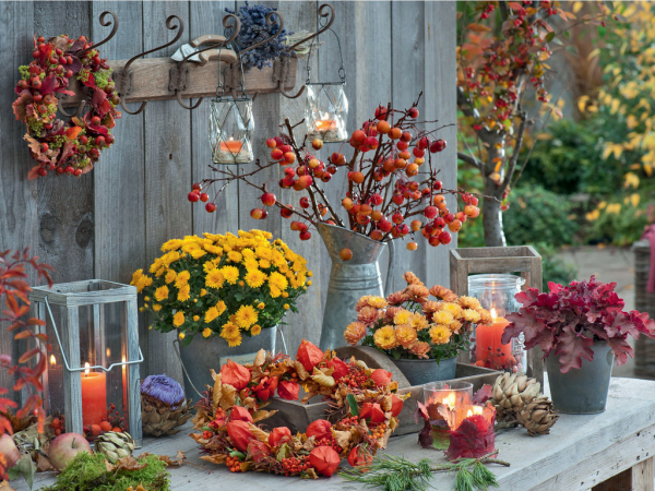 Herbstdeko für draußen Herbstkranz Physalis Chrysanthemen in Töpfen Laterne Kerze Wildbeerenzweige Zinkkanne