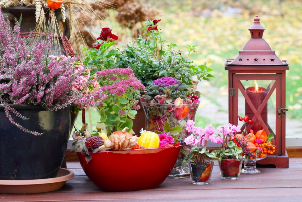 Herbstdeko für draußen schöner Tischschmuck Laterne Heidenkraut Physalis Topfblumen kleine Kürbisse