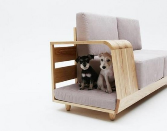 extravagante Sofas ausgefallenes Modell ein besonderes Extra Platz für zwei Haustiere Hunde