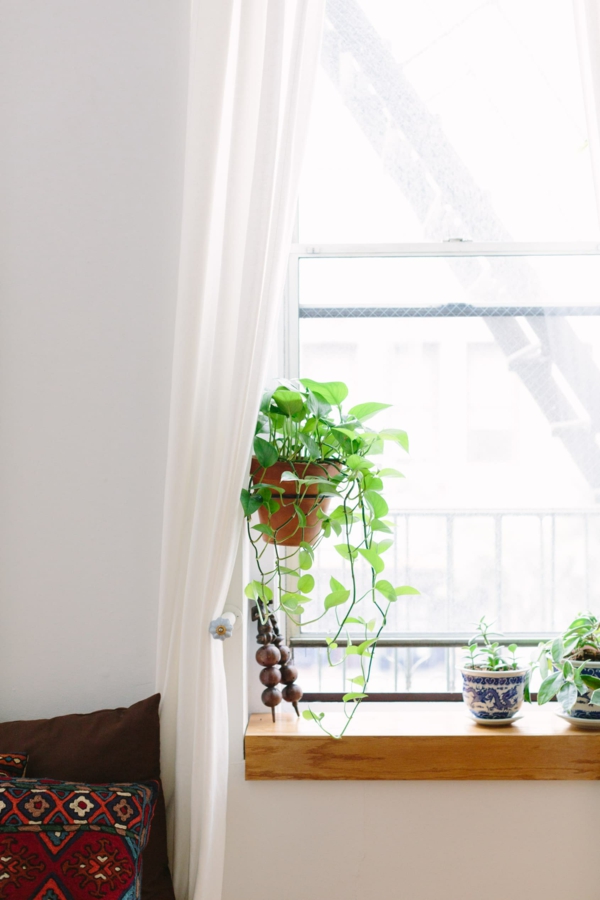 fensterbank deko mit pflanzen schlafzimmer zimmerpflanzen