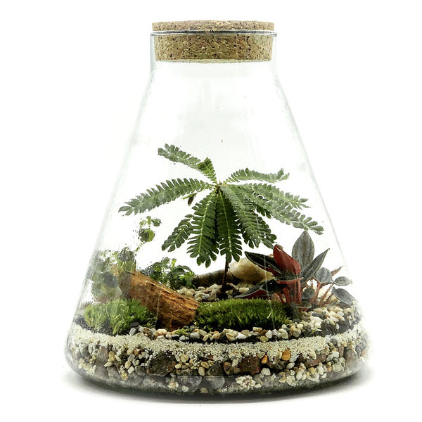 Biotop im Glas - tolles Glas mit Steinen