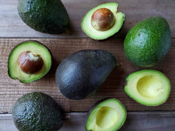 avocado nährstoffe welche sorten gibt es