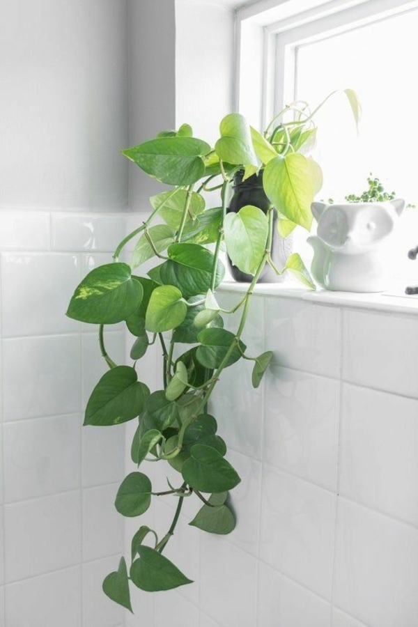 grüne zimmerpflanzen efeutute badezimmer dekoideen