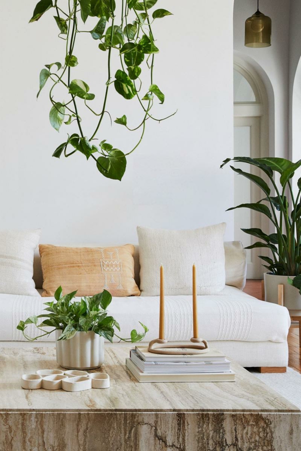 hängende zimmerpflanzen modernes wohnzimmer dekorieren