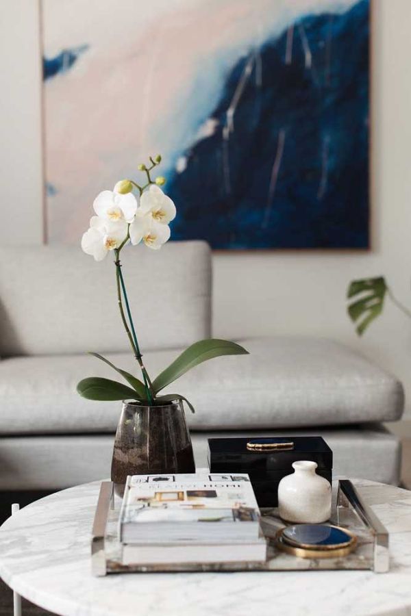 wohnzimmer ideen weiße orchidee
