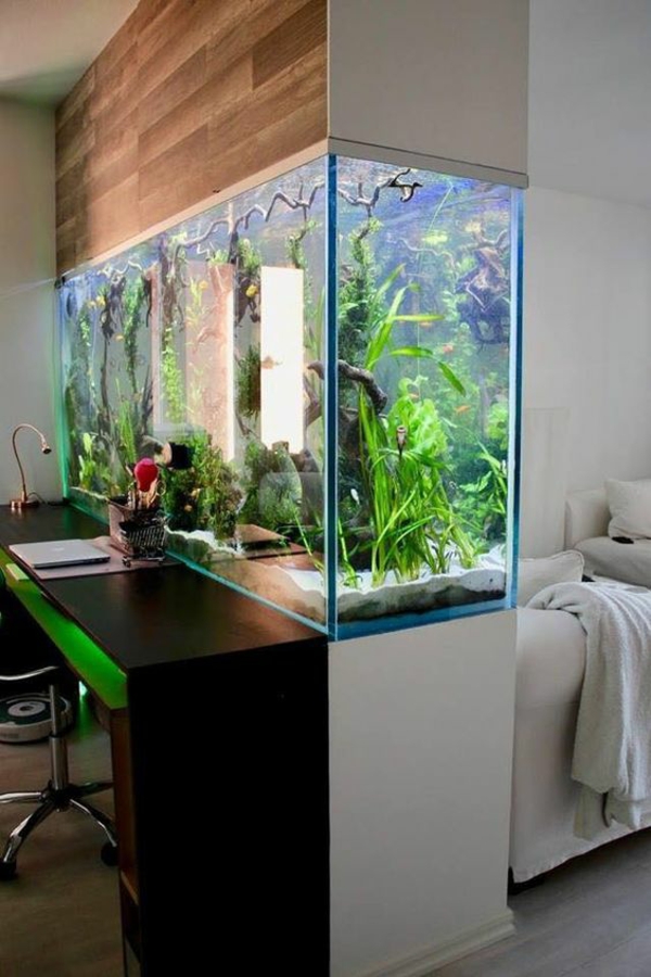 aquarium raumteiler home office abtrennen originelle idee