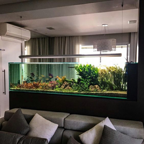 aquarium raumteiler stilvolle idee wohnbereich strukturieren
