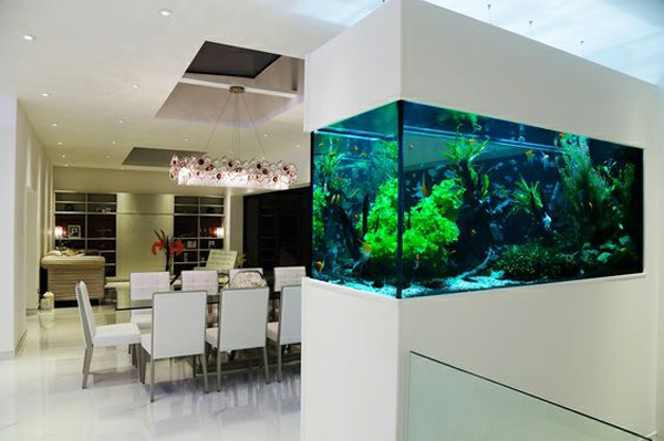 aquarium raumteiler weiße inneneinrichtung stilvolles design