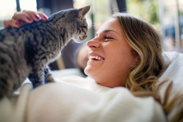 haustierversicherung katze tierhalter glücklich sein