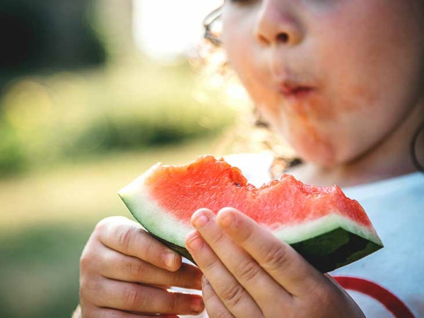 ist wassermelone gesund wassermelone nährwerte rezeptideen