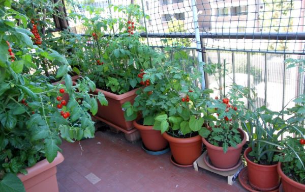 Balkon einrichten Pflanzen einsetzen