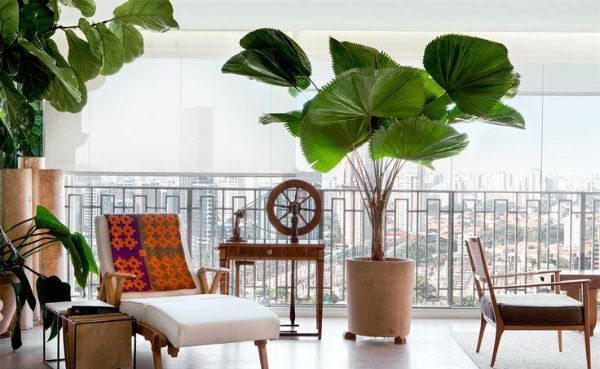 Balkonmöbel Sitzmöbel und eine tolle Pflanze