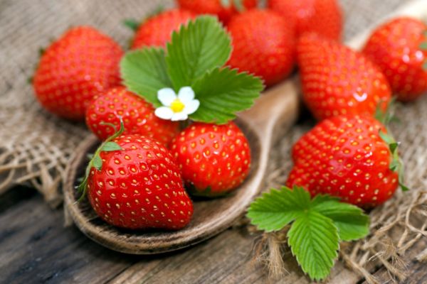 Leckeres Essen süße Erdbeeren