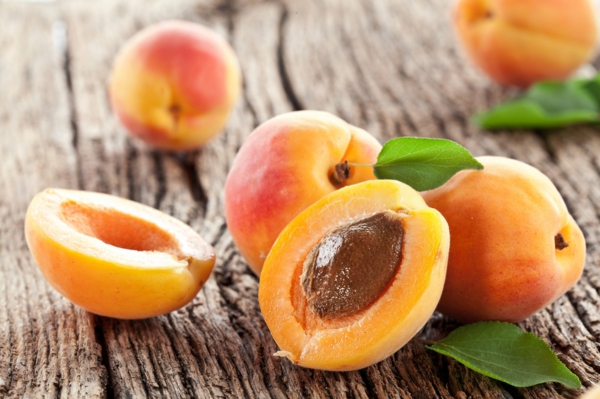 aprikose nährwerte leckere gesunde sommerfrüchte