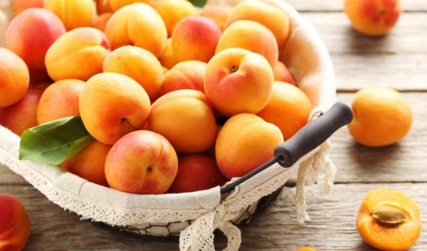 aprikose nährwerte sommerfrüchte gesunde rezeptideen