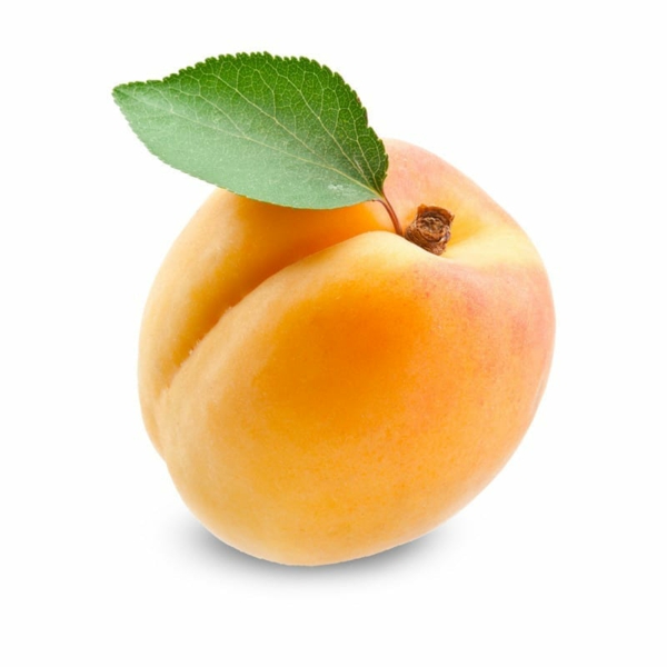 aprikose nährwerte warum sind aprikosen gesund