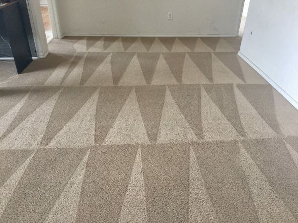 gemusterter teppich teppich reinigen