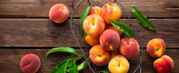 pfirsich nährwerte gesund leben gesund essen