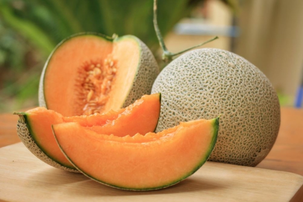 zuckermelone gesunde ernährung sommer gesund leben tipps