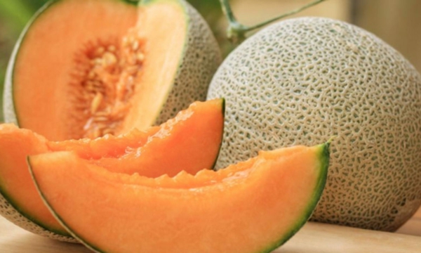 zuckermelone gesunde nahrung sommer früchte essen