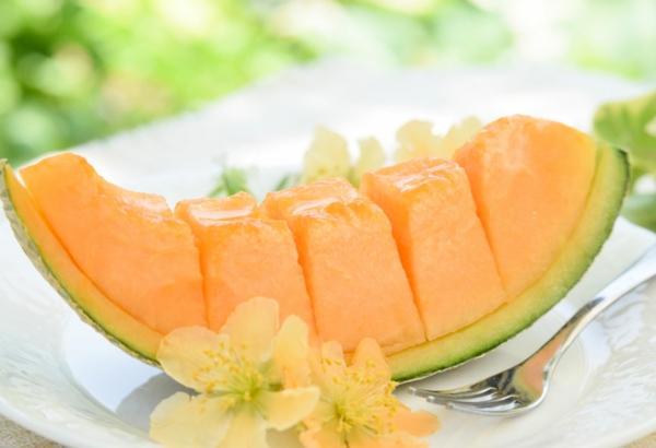 zuckermelone gesundheitliche vorteile warnungen wissenswertes