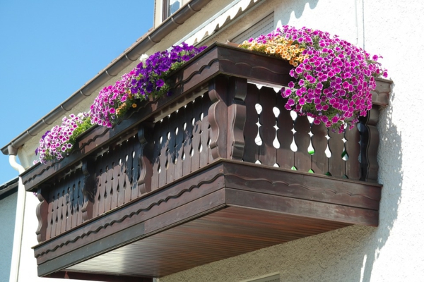 grüner balkon dekoideen balkonpflanzen petunien