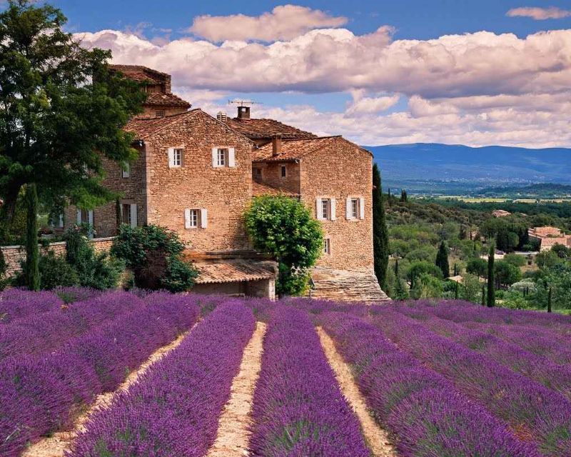 Lavendelfelder Auswandern in die Toskana