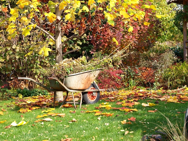 Herbstgarten September Gartenarbeit nuetzliche Tipps