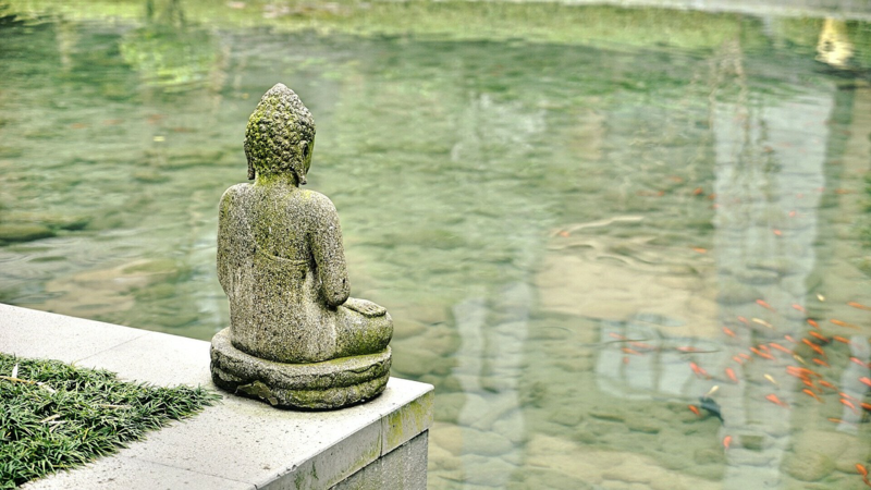 buddha skulptur am teich