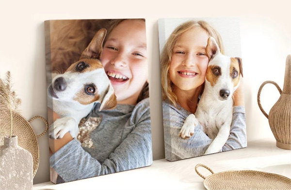 Foto auf Leinwand für drinnen und draußen zwei Bilder Mädchen mit Hund