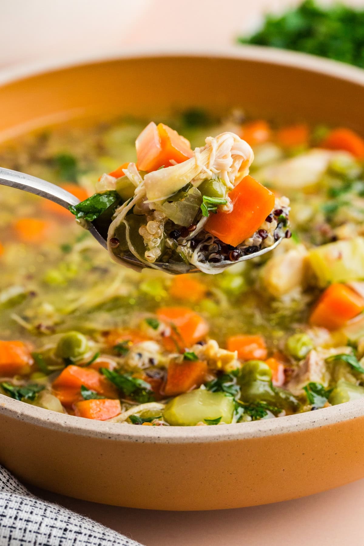 klassische Hühnersuppe mit vielen Gemüsearten